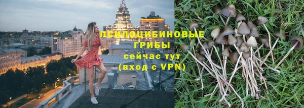 гидропоника Великий Новгород