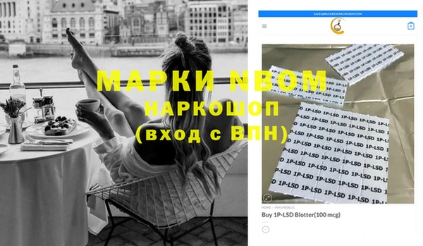 PSILOCYBIN Липки