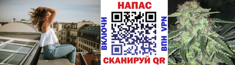 Марихуана конопля  hydra как войти  Электроугли 